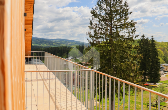 Apartmán v Janských Lázních