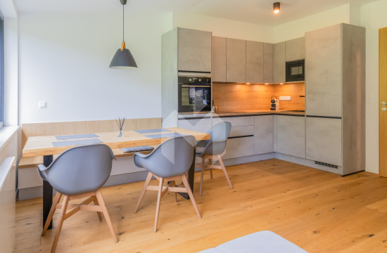 Apartmán v Janských Lázních