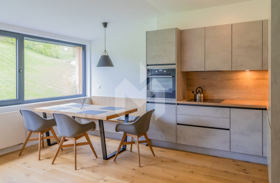 Apartmán v Janských Lázních