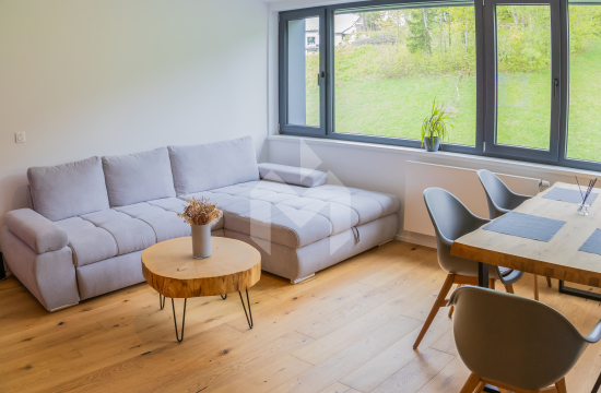 Apartmán v Janských Lázních